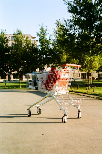 Understanding Online Payment Methods